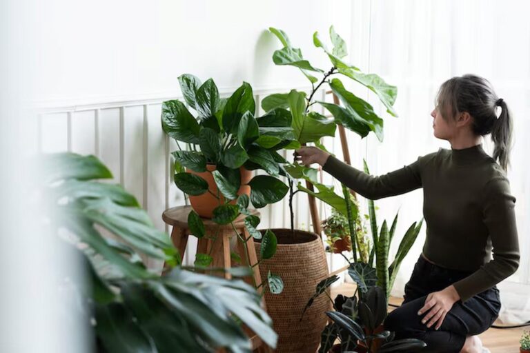 Plant Care